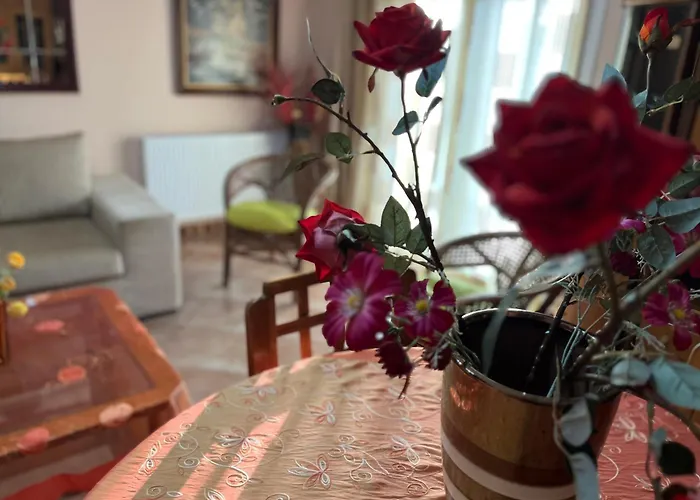 Dimi View Home